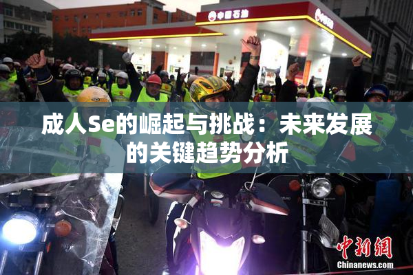 成人Se的崛起与挑战：未来发展的关键趋势分析