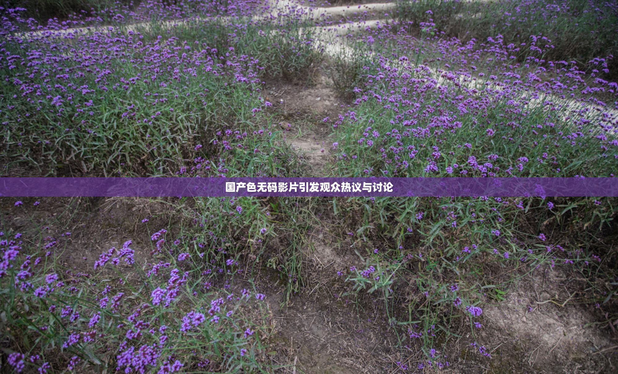 国产色无码影片引发观众热议与讨论