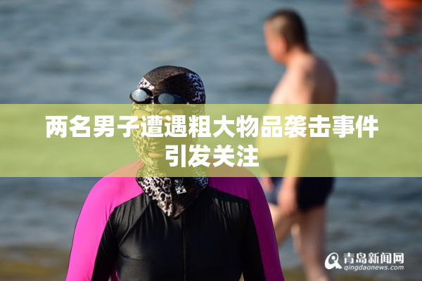 两名男子遭遇粗大物品袭击事件引发关注