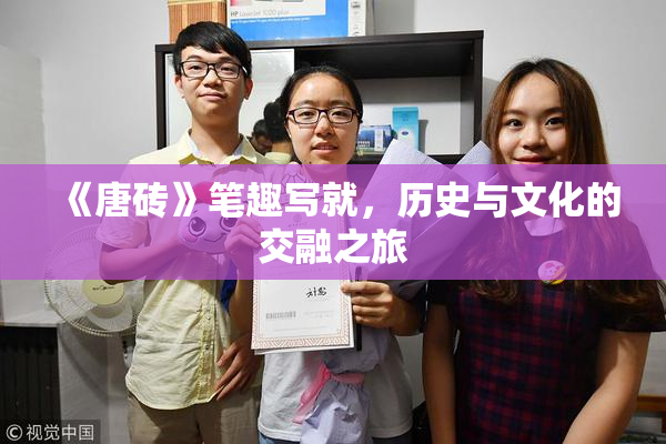 《唐砖》笔趣写就，历史与文化的交融之旅