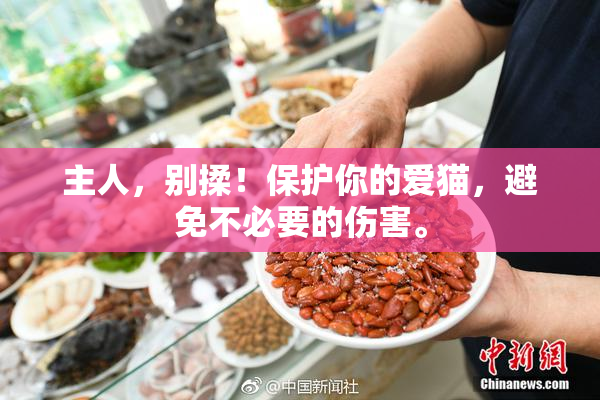 主人，别揉！保护你的爱猫，避免不必要的伤害。