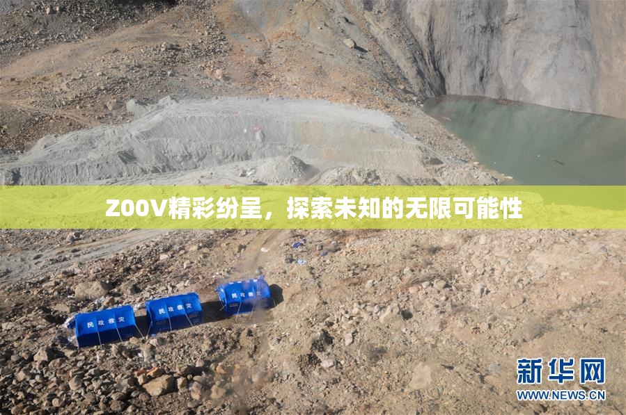 Z00V精彩纷呈，探索未知的无限可能性