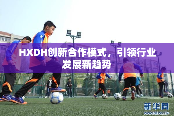 HXDH创新合作模式，引领行业发展新趋势