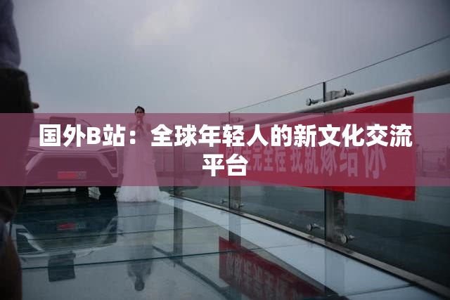 国外B站：全球年轻人的新文化交流平台