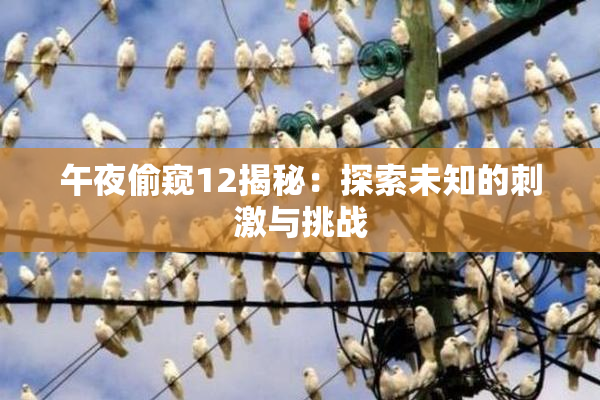 午夜偷窥12揭秘：探索未知的刺激与挑战