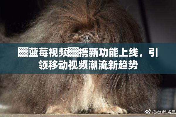 ▓蓝莓视频▓携新功能上线，引领移动视频潮流新趋势