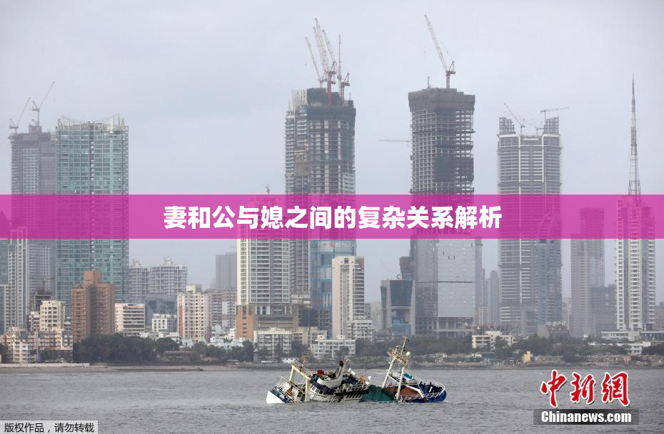 妻和公与媳之间的复杂关系解析