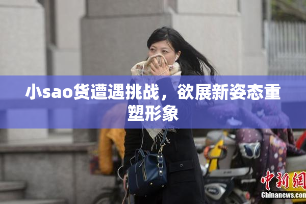 小sao货遭遇挑战，欲展新姿态重塑形象