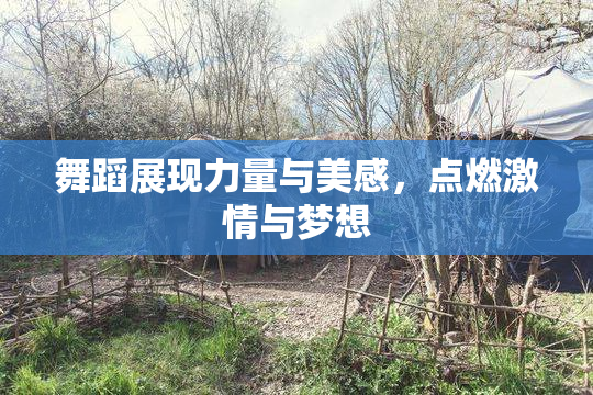 舞蹈展现力量与美感，点燃激情与梦想