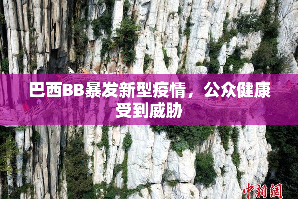 巴西BB暴发新型疫情，公众健康受到威胁