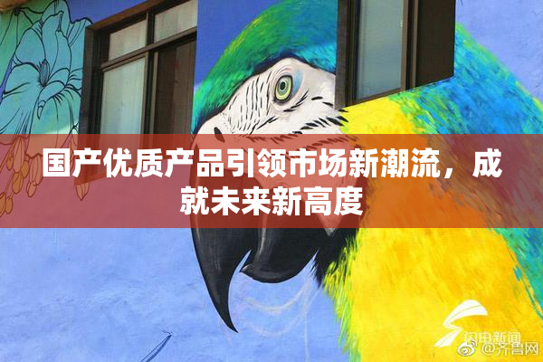 国产优质产品引领市场新潮流，成就未来新高度