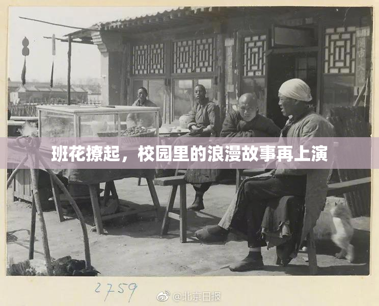 班花撩起，校园里的浪漫故事再上演