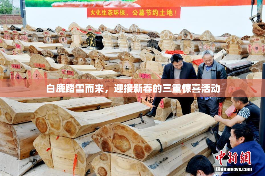 白鹿踏雪而来，迎接新春的三重惊喜活动