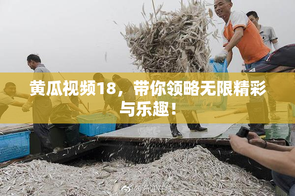 黄瓜视频18，带你领略无限精彩与乐趣！
