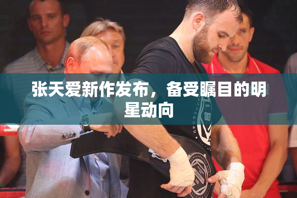 张天爱新作发布，备受瞩目的明星动向