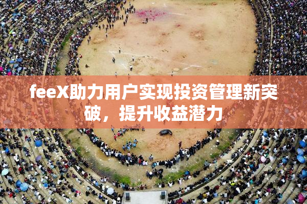 feeX助力用户实现投资管理新突破，提升收益潜力