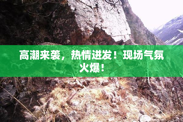 高潮来袭，热情迸发！现场气氛火爆！