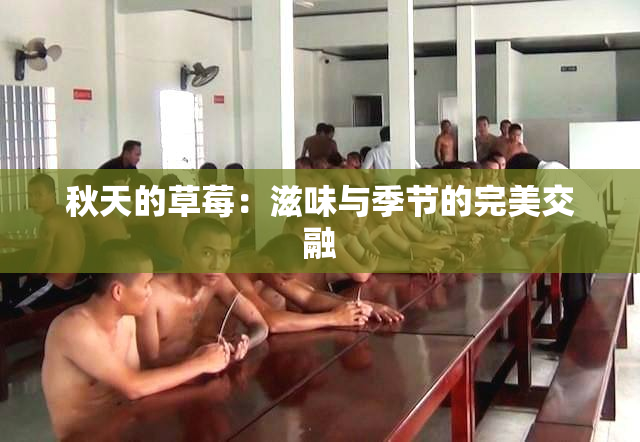 秋天的草莓：滋味与季节的完美交融