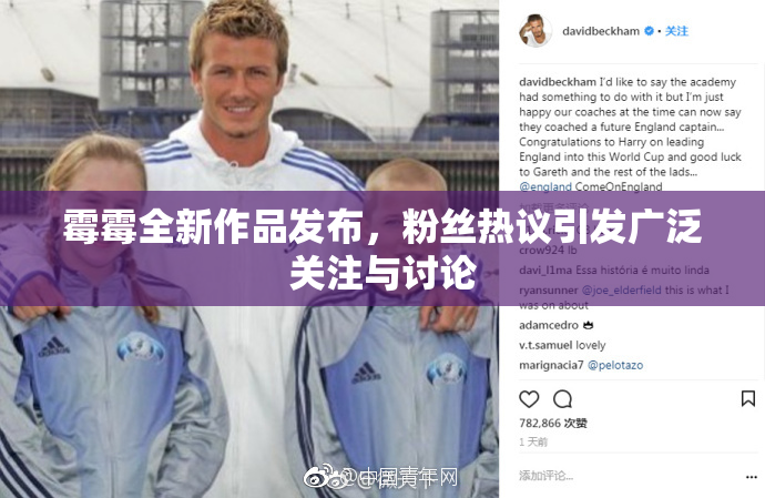霉霉全新作品发布，粉丝热议引发广泛关注与讨论