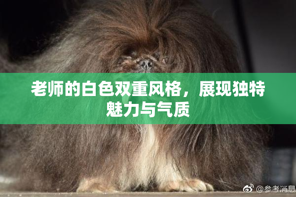 老师的白色双重风格，展现独特魅力与气质