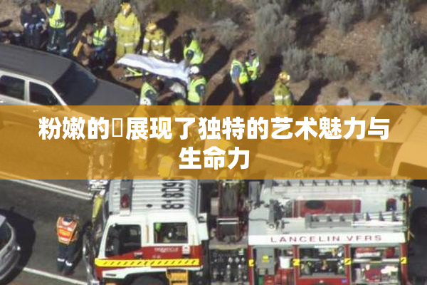 粉嫩的泬展现了独特的艺术魅力与生命力