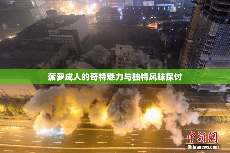 菠萝成人的奇特魅力与独特风味探讨