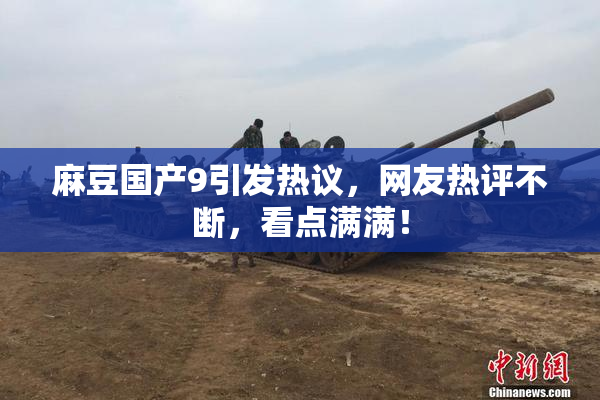 麻豆国产9引发热议，网友热评不断，看点满满！