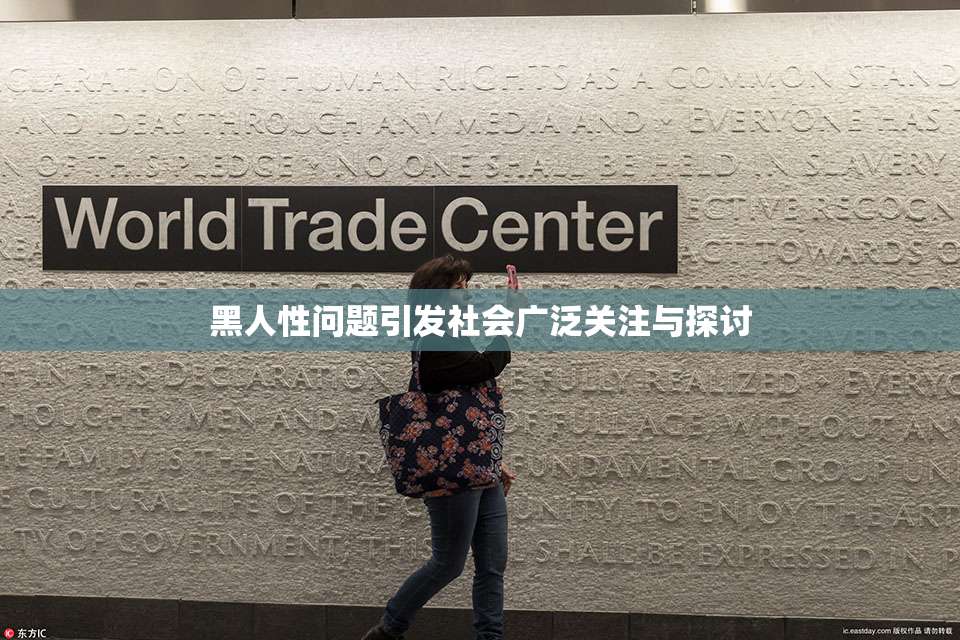 黑人性问题引发社会广泛关注与探讨