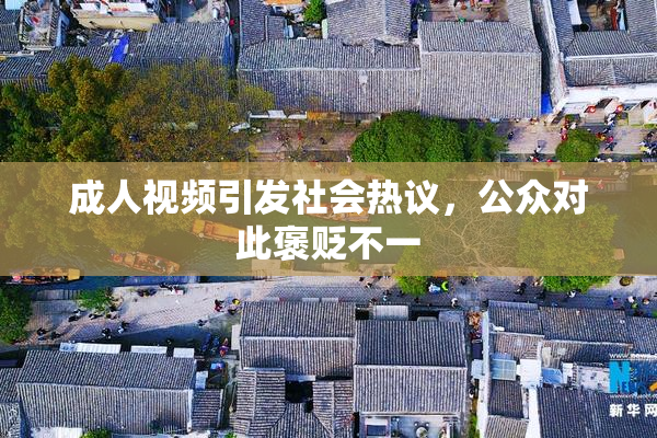 成人视频引发社会热议，公众对此褒贬不一
