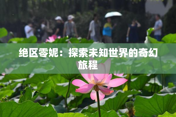 绝区零妮：探索未知世界的奇幻旅程