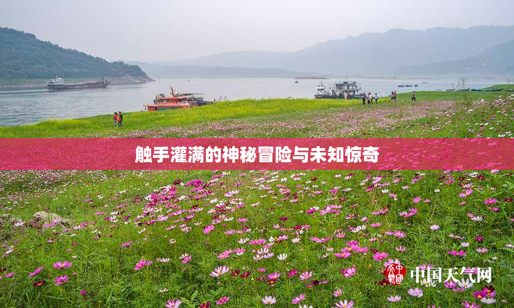 触手灌满的神秘冒险与未知惊奇