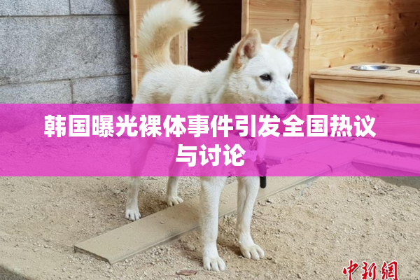 韩国曝光裸体事件引发全国热议与讨论
