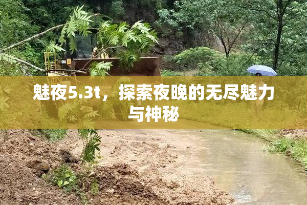 魅夜5.3t，探索夜晚的无尽魅力与神秘