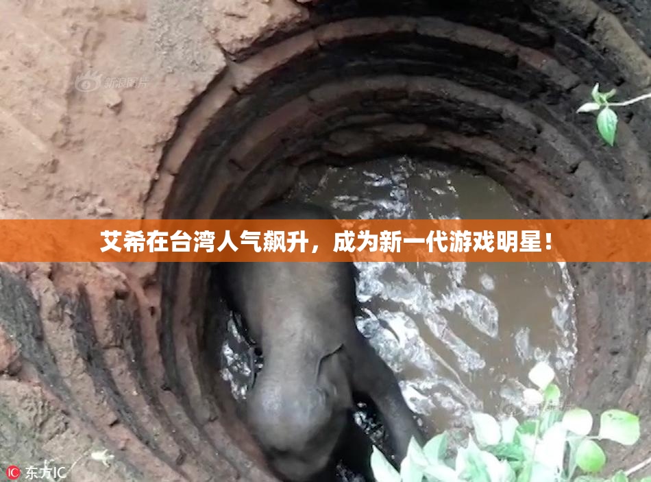 艾希在台湾人气飙升，成为新一代游戏明星！