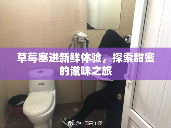 草莓塞进新鲜体验，探索甜蜜的滋味之旅