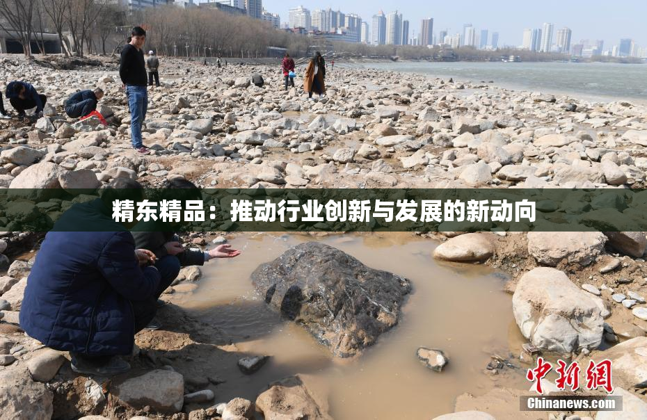 精东精品：推动行业创新与发展的新动向