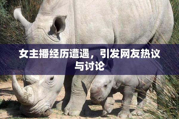 女主播经历遭遇，引发网友热议与讨论