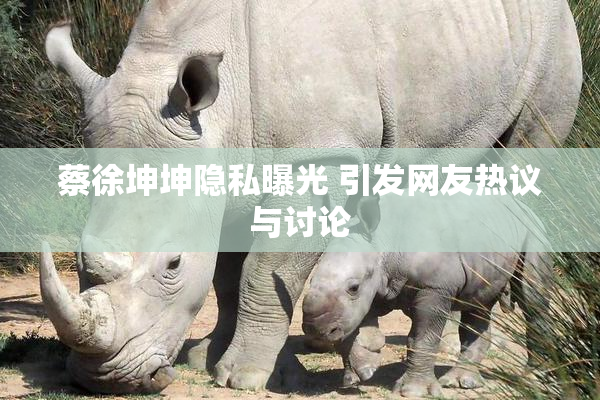 蔡徐坤坤隐私曝光 引发网友热议与讨论