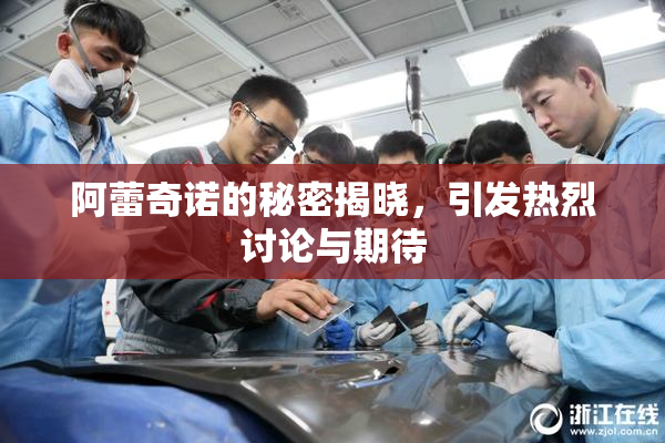 阿蕾奇诺的秘密揭晓，引发热烈讨论与期待