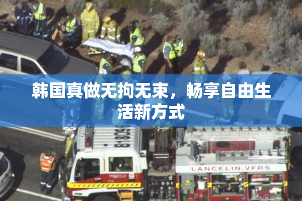韩国真做无拘无束，畅享自由生活新方式