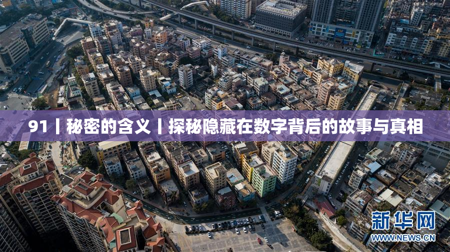 91丨秘密的含义丨探秘隐藏在数字背后的故事与真相