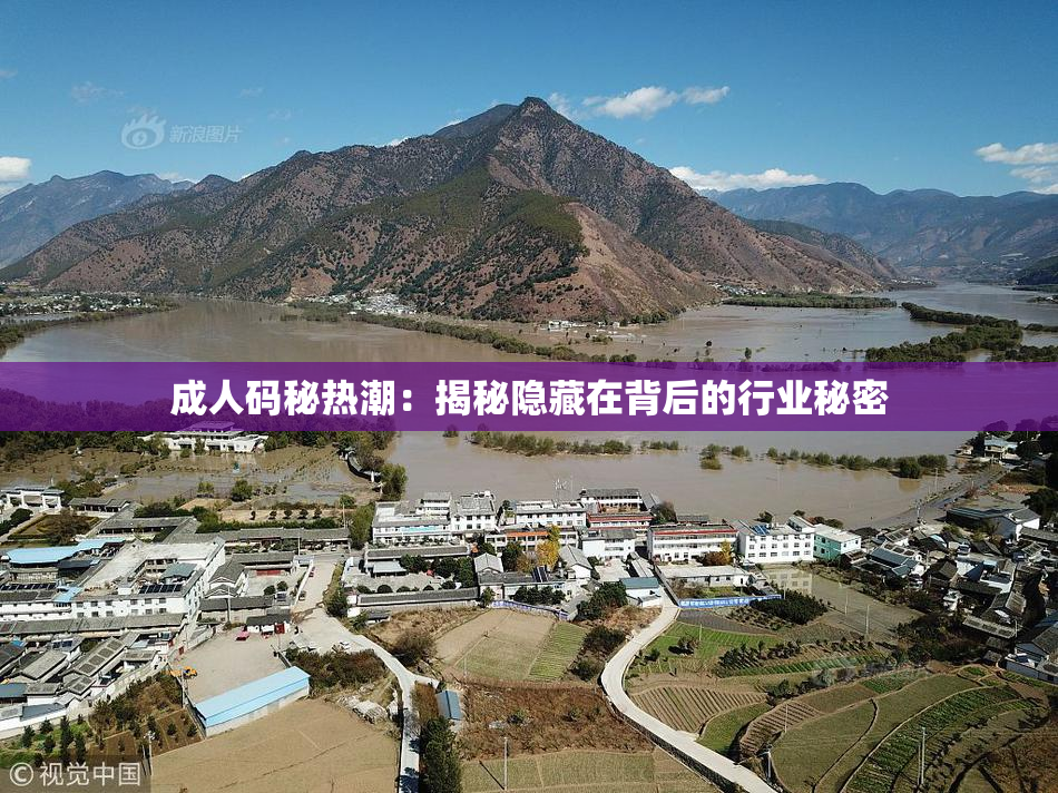 成人码秘热潮：揭秘隐藏在背后的行业秘密