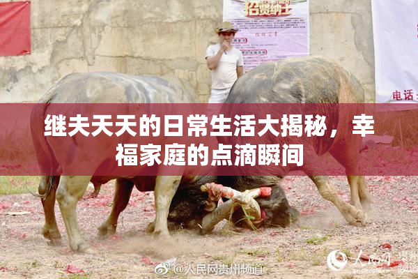 继夫天天的日常生活大揭秘，幸福家庭的点滴瞬间
