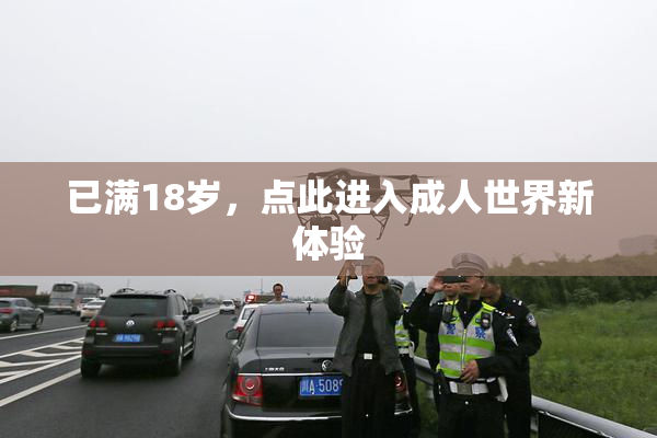 已满18岁，点此进入成人世界新体验