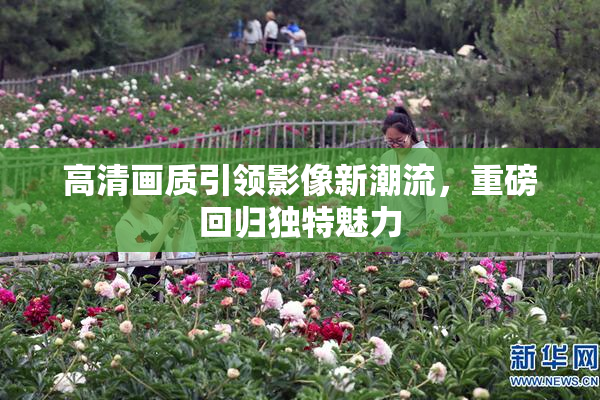 高清画质引领影像新潮流，重磅回归独特魅力