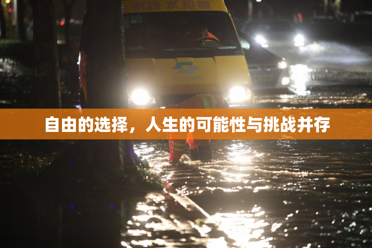 自由的选择，人生的可能性与挑战并存