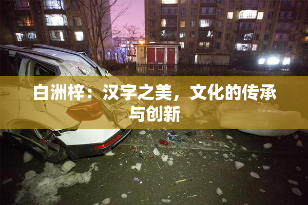 白洲梓：汉字之美，文化的传承与创新