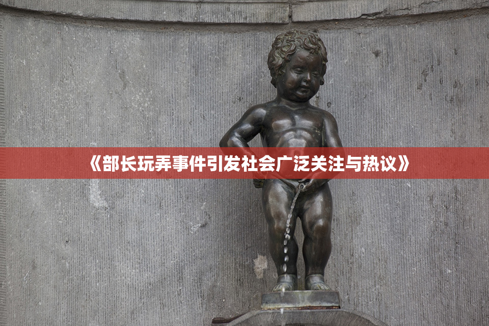 《部长玩弄事件引发社会广泛关注与热议》