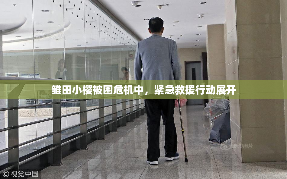 雏田小樱被困危机中，紧急救援行动展开