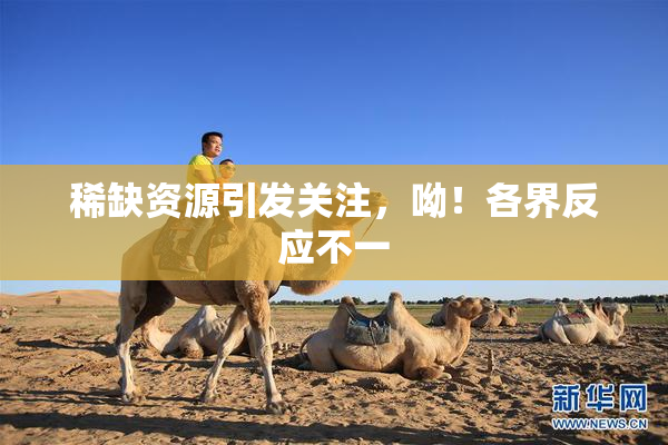 稀缺资源引发关注，呦！各界反应不一